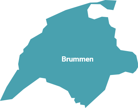 Brummen